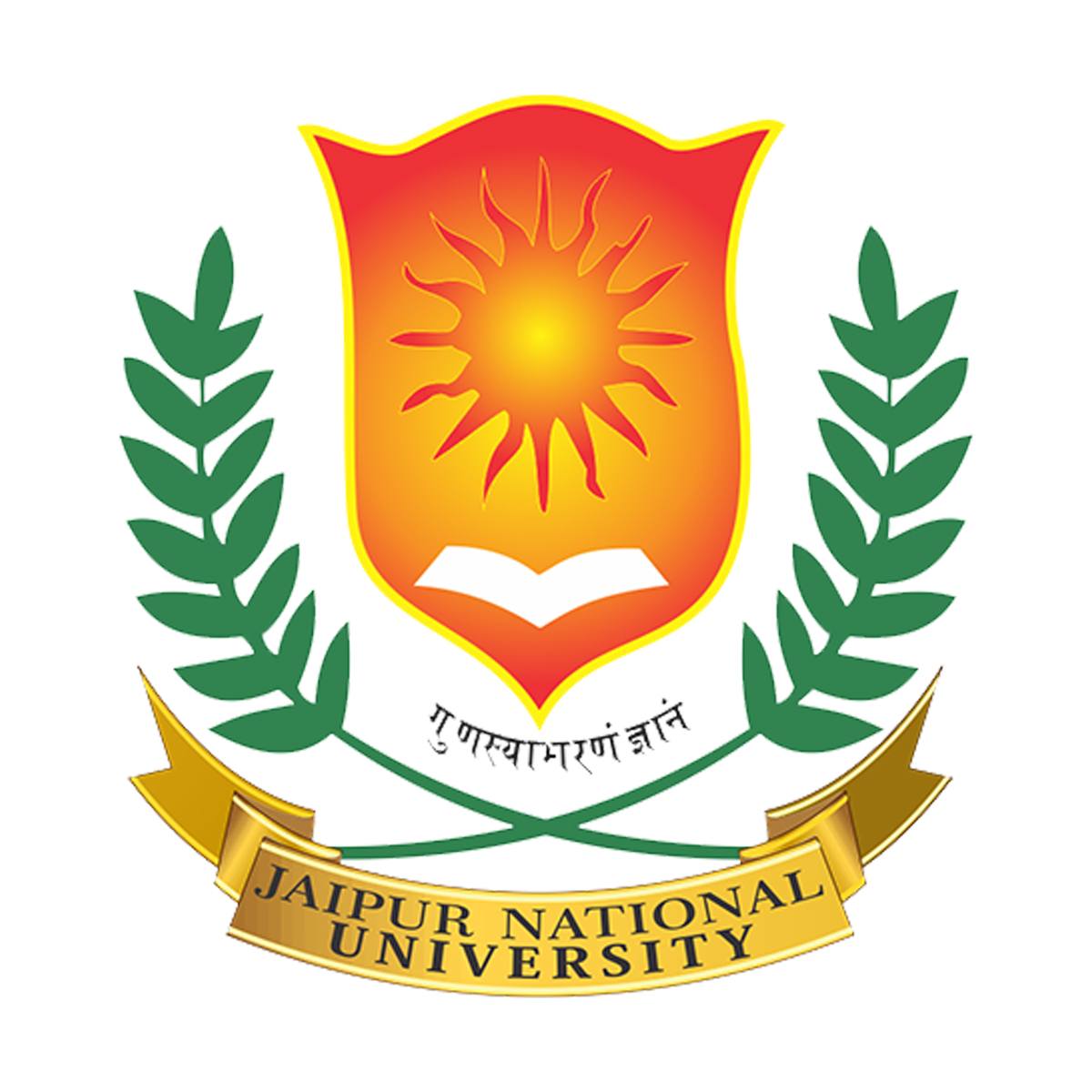 Jaipur National University